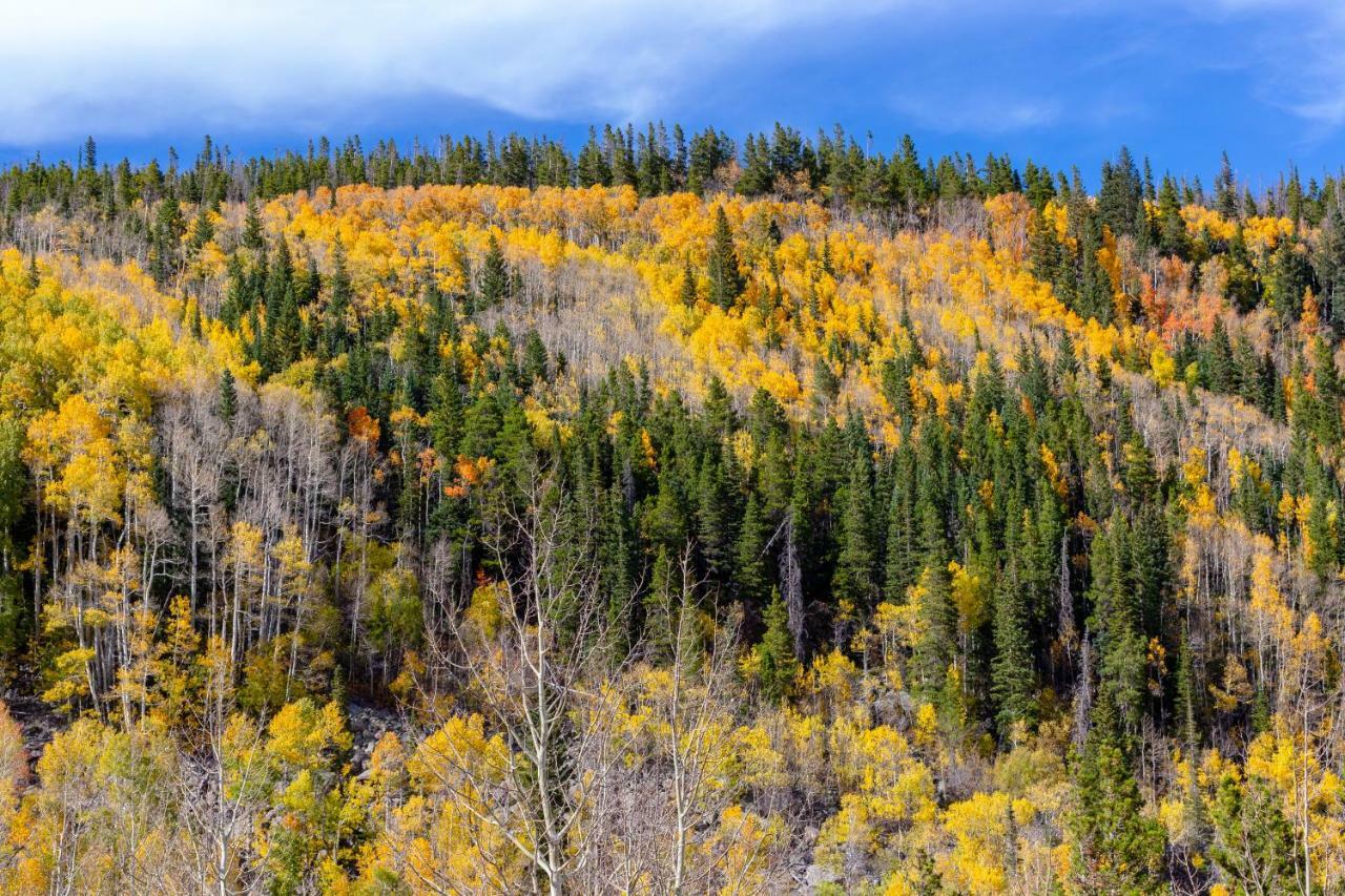 Quiet In The Pines - Permit #3120 Appartement Estes Park Buitenkant foto