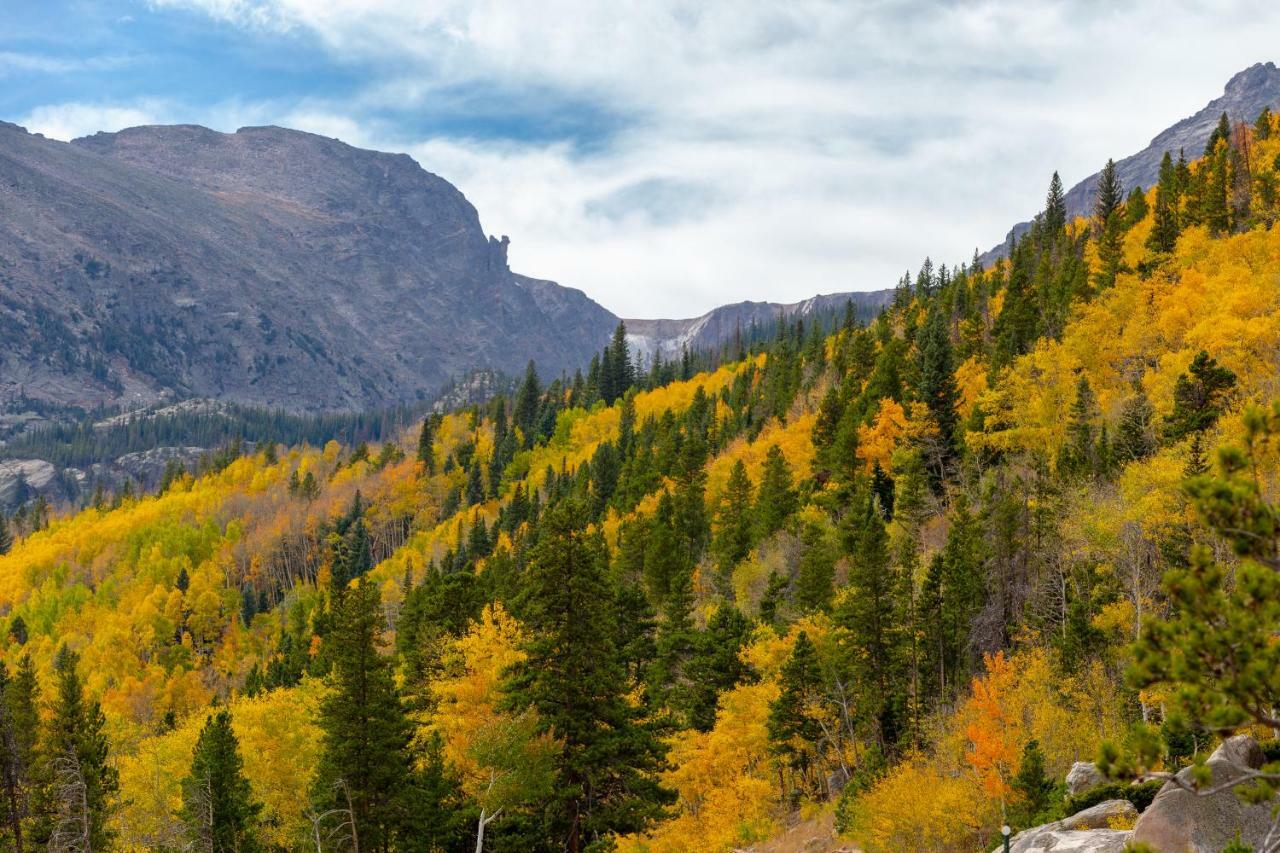 Quiet In The Pines - Permit #3120 Appartement Estes Park Buitenkant foto