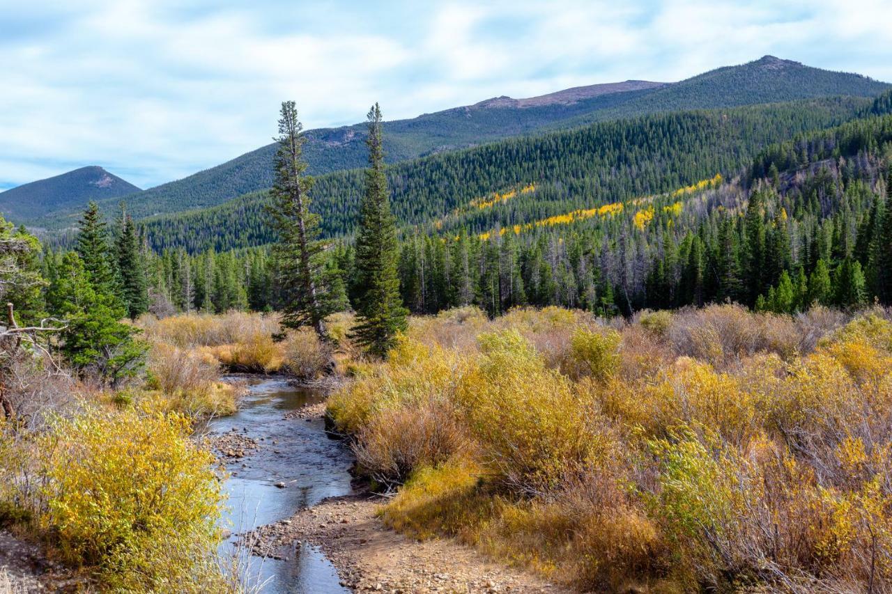 Quiet In The Pines - Permit #3120 Appartement Estes Park Buitenkant foto
